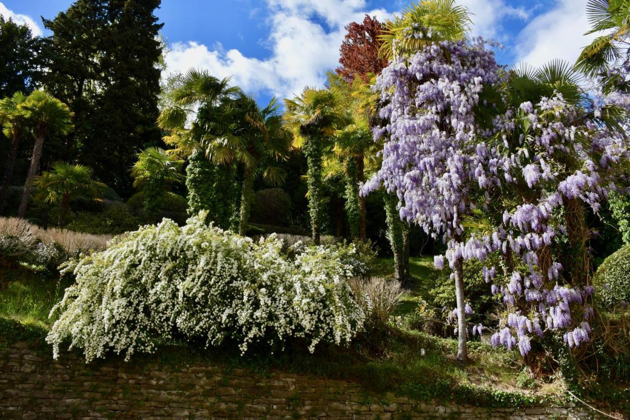 Belle Ile Lake View Suite Cadenabbia Εξωτερικό φωτογραφία